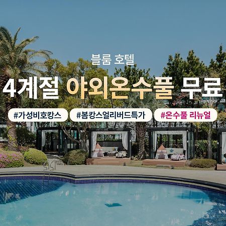 Bloom Hotel Jeju Dış mekan fotoğraf