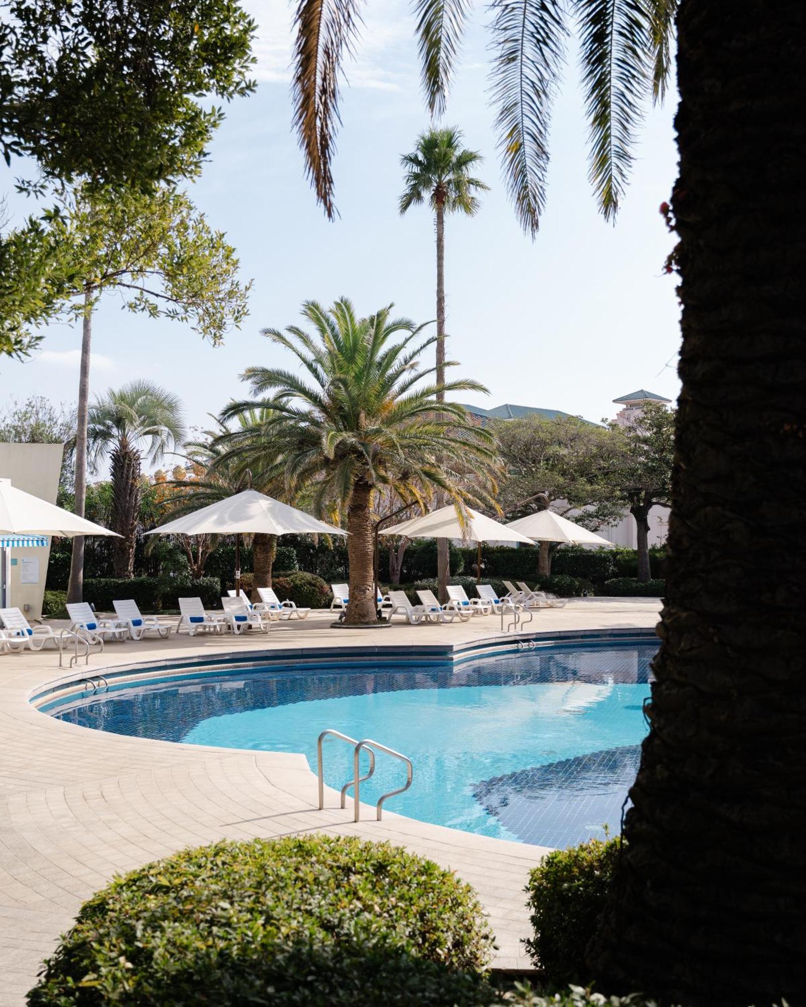 Bloom Hotel Jeju Dış mekan fotoğraf